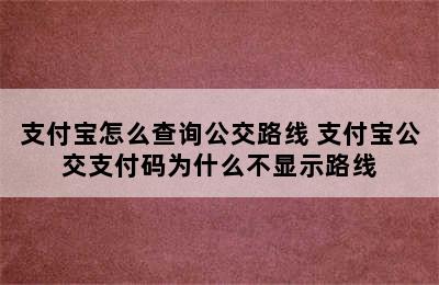 支付宝怎么查询公交路线 支付宝公交支付码为什么不显示路线